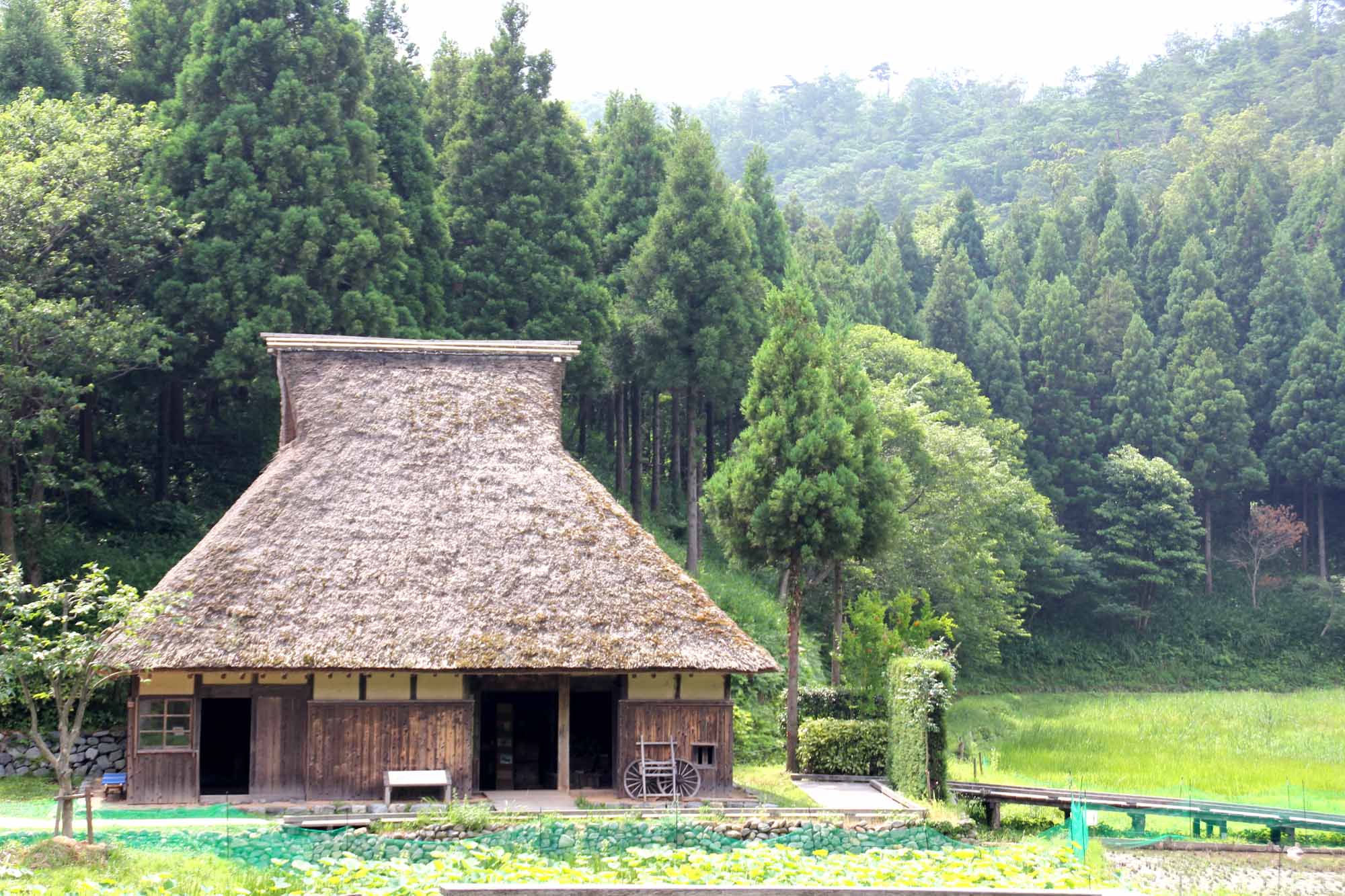昔の正しい日本の風景 ラブラドール カリンの写真日記